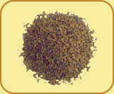 Ajwain Seeds (Bishop Seeds)