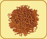 Fenugreek Seeds