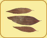 Bay Leaves (Tej Patta)